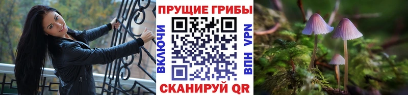 Галлюциногенные грибы Psilocybine cubensis  Нязепетровск 